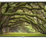 تلوزیون 55 اینچ سام مدل Q60D